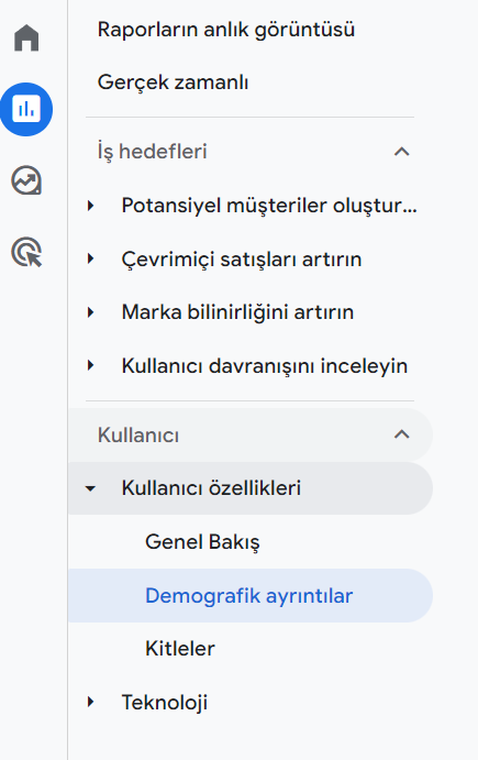 Google Analytics 4 Kullanıcı Özellikleri - Demografik Ayrıntılar Buton