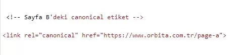 canonical etiketi ve 301 nedir canonical etiketi nasıl oluşturulur