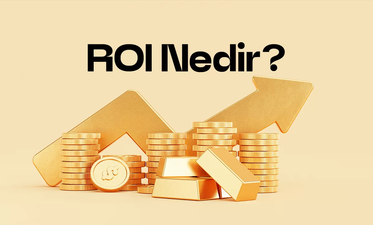 Roi nedir?