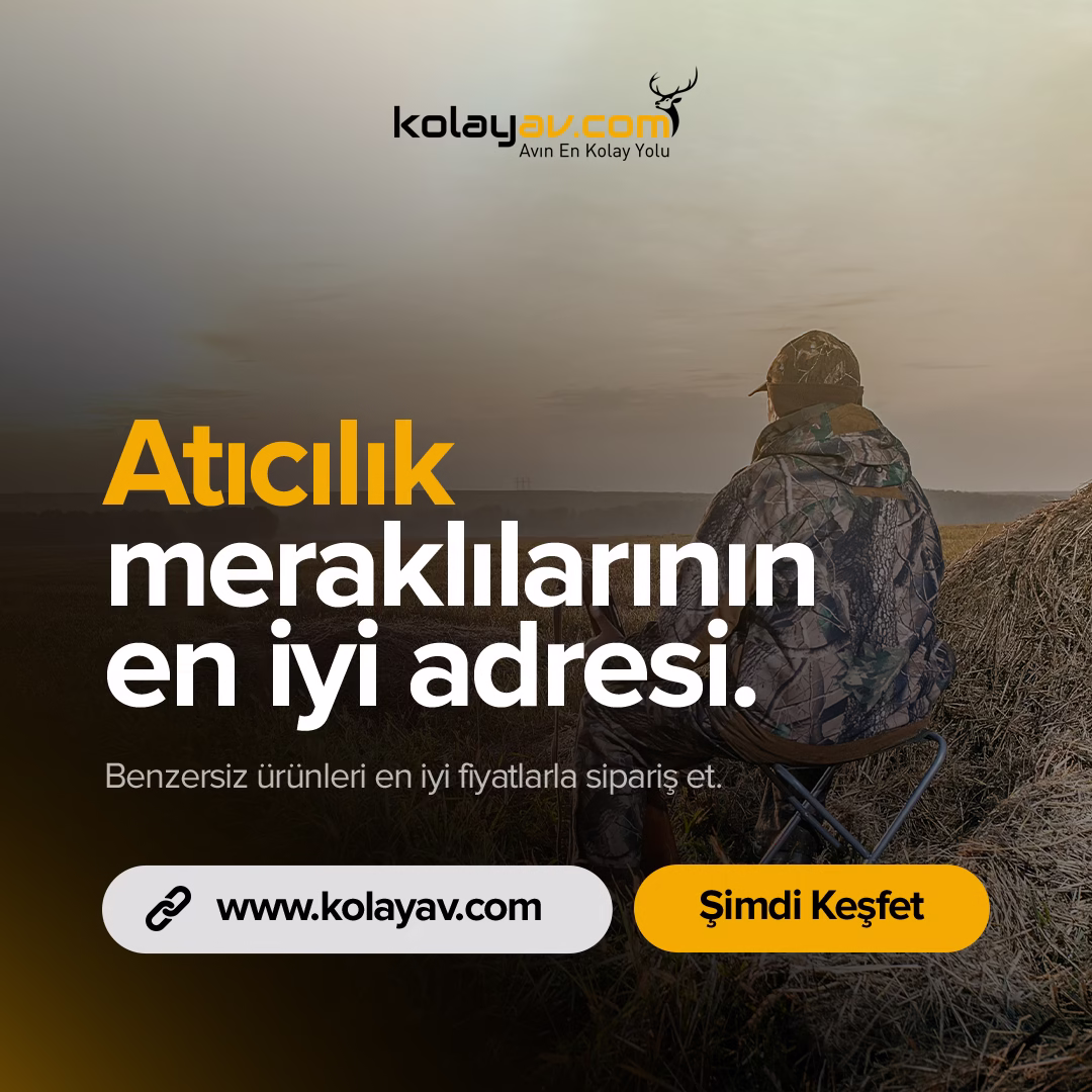 Kolayav sosyal medya tasarımı